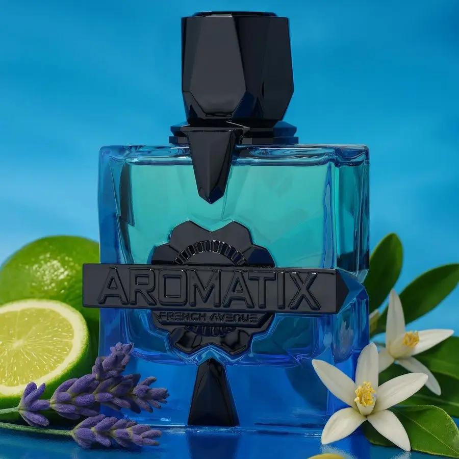 Aromatix Magnetiq Extrait de Parfum 100ml French Avenue