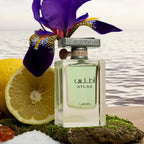 Atlas Perfume 55ml EDP Lattafa