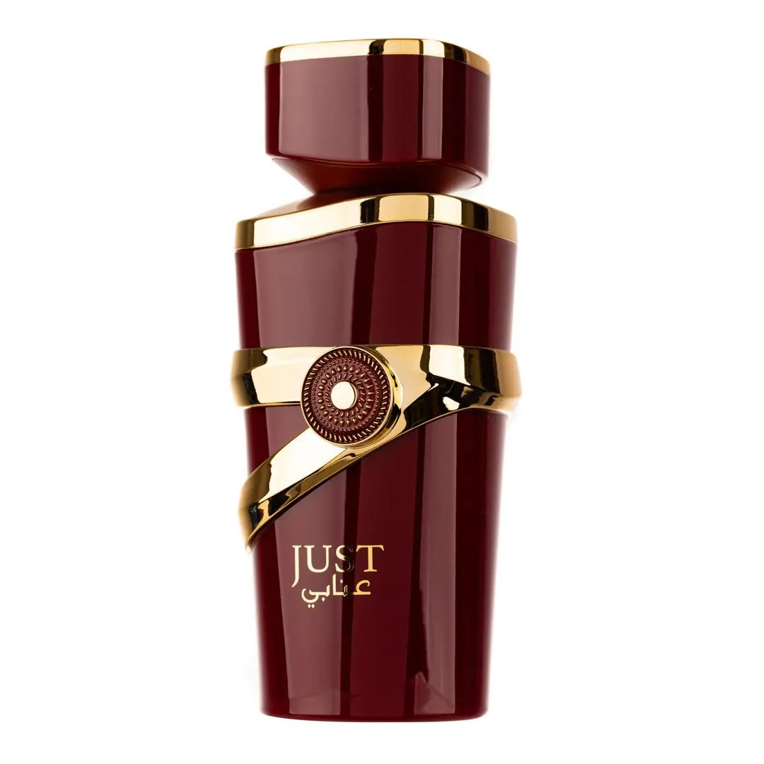 Just Anabi Perfume 100ml EDP By Fragrance World