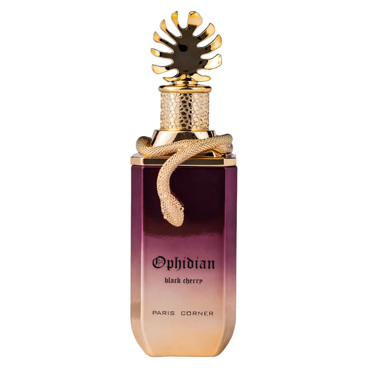 Ophidian Black Cherry Perfume 100ml EDP Paris Corner
