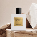 Rayhaan Cedrus Blanc Perfume 100ml EDP by Rayhaan