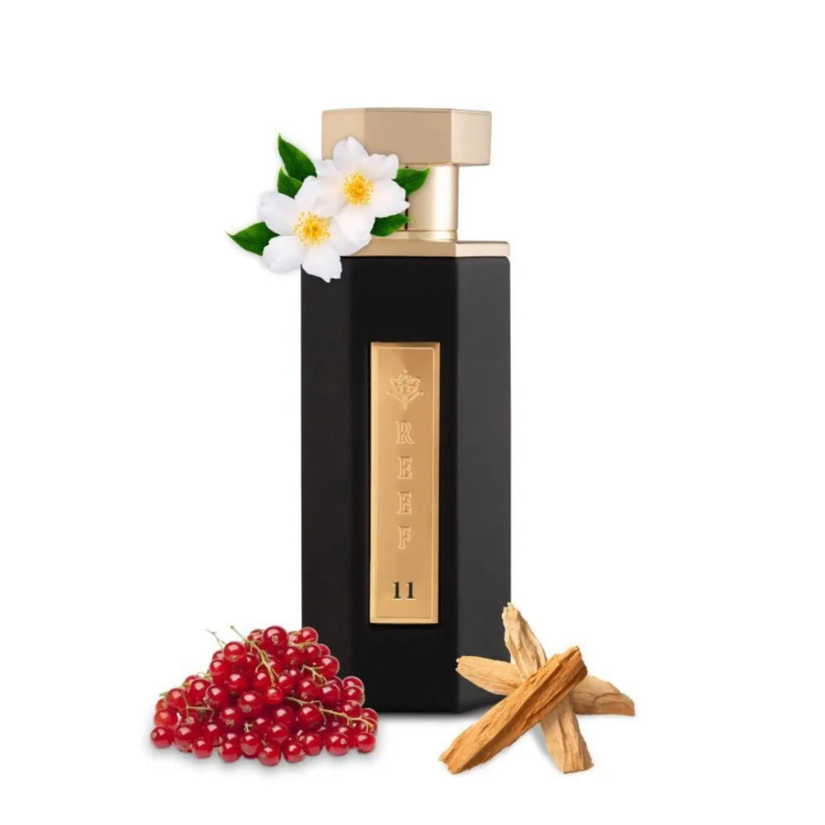 Reef 11 EDP by Reef Perfumes