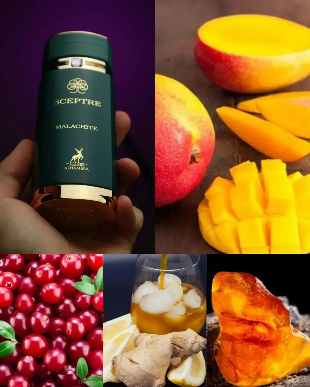 Sceptre Malachite Perfume 100ml EDP Maison Alhambra