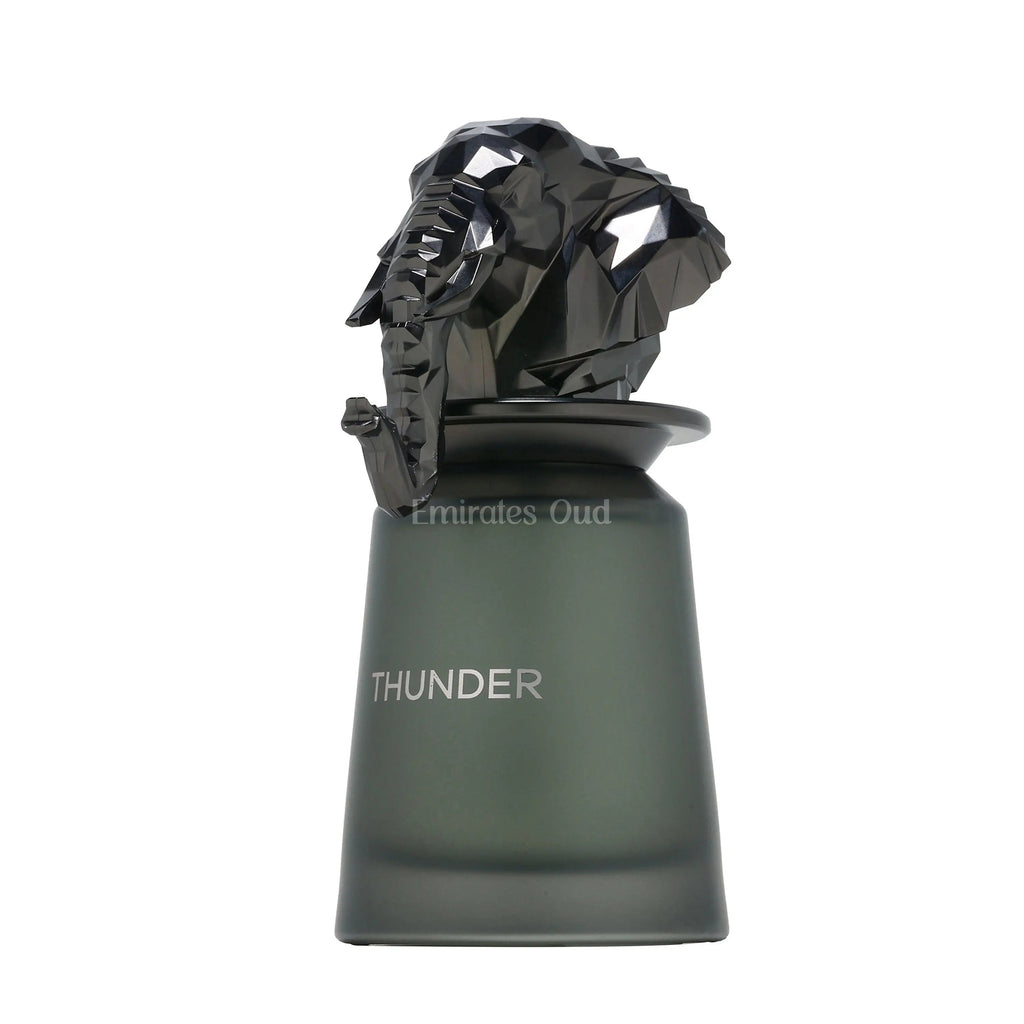 Thunder Perfume 100ml EDP French Avenue
