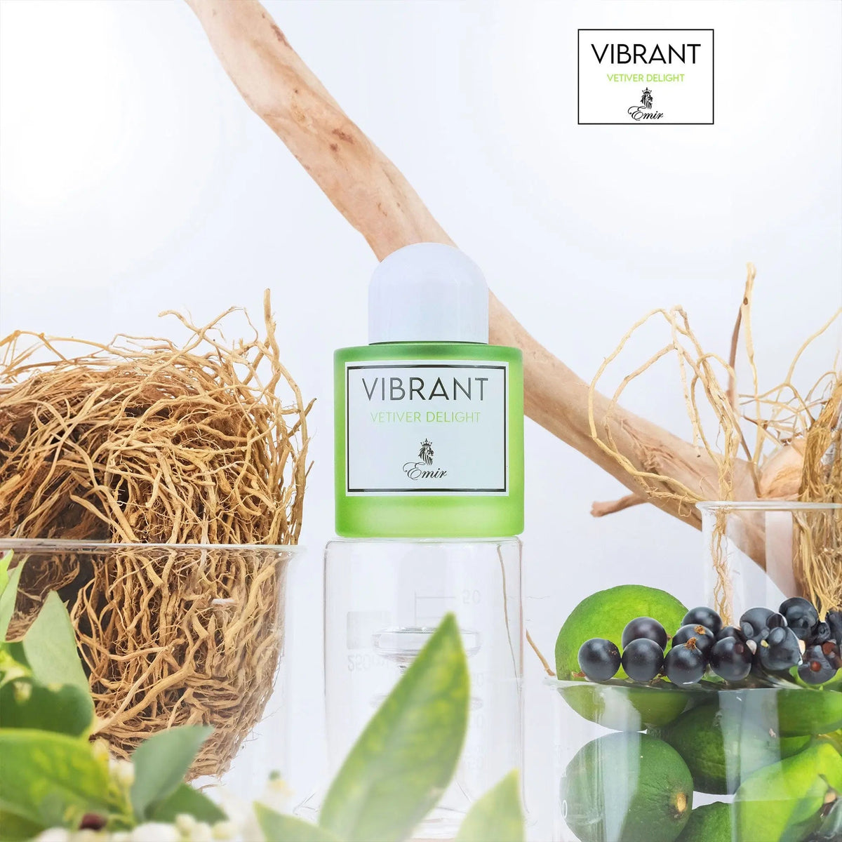 Vibrant Vetiver Delight Perfume 100ml EDP Emir by Paris Corner